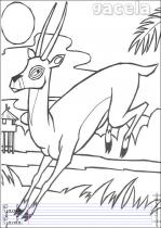 coloriage-gazelle-1